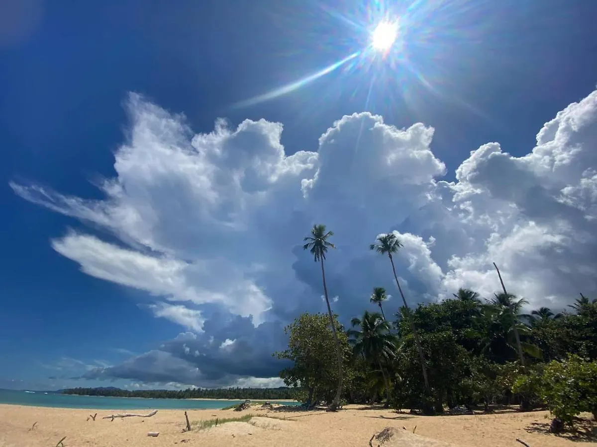 Aparthotel La Dolce Vita Beachfront Apt 2 Las Terrenas